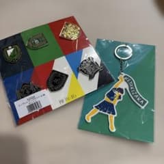 欅坂46 エンブレム ピンズセット&キーホルダーのサムネイル
