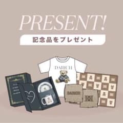 ダーリッチ ランク 会員特典 記念品 Tシャツ Dベア Darich ノベルティ