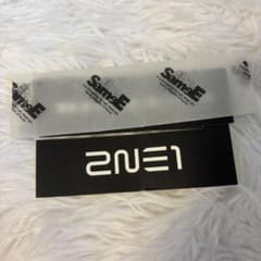 2NE1 theSameE 非売品　ステッカーのサムネイル