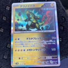 テツノイバラのサムネイル