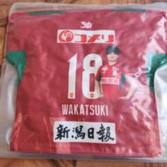 アルビレックス新潟 #18 若月大和ユニフォームクッションのサムネイル
