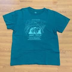 Bamboo shoots  バンブーシュートのサムネイル