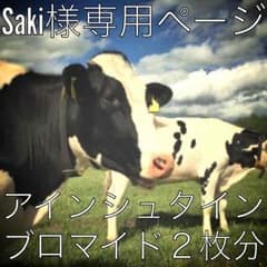 Saki様専用ページのサムネイル