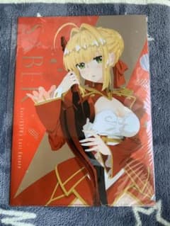 [비매품]fate 클리어 파일 & 포스터