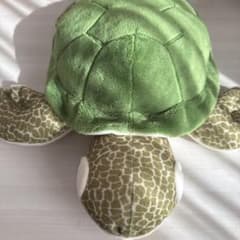 カメ型ぬいぐるみのサムネイル