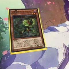 捕食植物サンデウキンジーのサムネイル