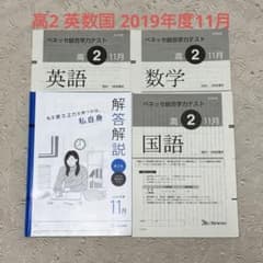 ベネッセ総合学力テスト 高2 2019年度11月 英数国 解答解説 進研模試