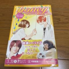 honey 映画ノベライズ版のサムネイル