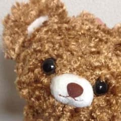 クマの耳あてのサムネイル
