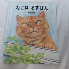 고양이 하스반