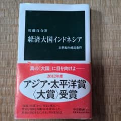 経済大国インドネシア : 21世紀の成長条件のサムネイル