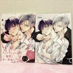 きみの音ふたつ、落ちてきて 灰野ネム アニメイト特典付きのサムネイル