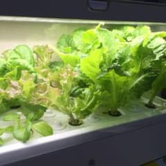 いお様専用のサムネイル