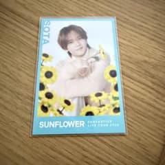 FANTASTICS SUNFLOWER 中島颯太 トレカ - メルカリ