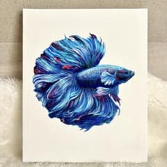 ベタ】原画 キャンバス画 アクリル絵画 金魚 アート イラスト 青