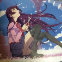 化物語 下敷きのサムネイル
