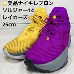 ⭐️美品ナイキ レブロン ソルジャー14 レイカーズ、25cm - メルカリ