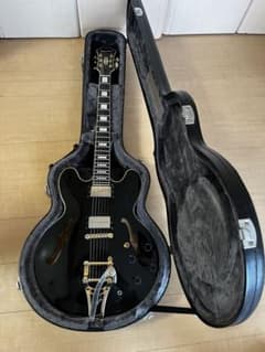 Epiphone Dot ES-355 EB - メルカリ