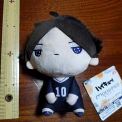 ハイキュー!! もちぴこ 角名倫太郎