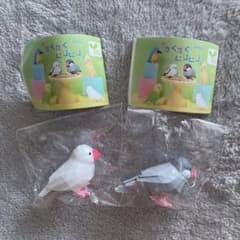 かくかくとりとり 文鳥セットのサムネイル