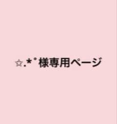✩.*˚専用ページのサムネイル
