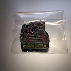 非売品　アジア大会　愛知　名古屋 香港 HONG KONG ピンバッジ 馬術競技のサムネイル