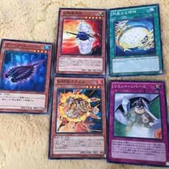 マル様専用のサムネイル