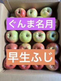 青森県産ぐんま名月、早生ふじセットのサムネイル