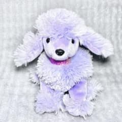 Ty　ビーニーベイビーズ　犬　ぬいぐるみ　薄紫　パープル　イヌ　ドッグ　プードルのサムネイル