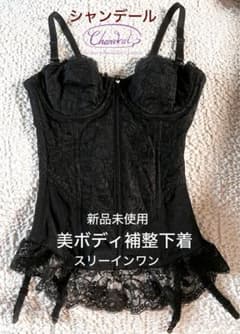 新品未使用】美ボディ補整下着 シャンデール スリーインワン D65