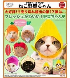 ねこのかぶりもののサムネイル