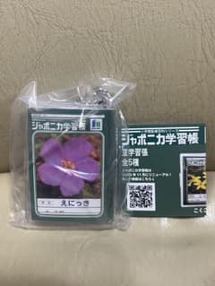 ジャポニカ学習帳 豆学習帳 えにっき ミニチュアのサムネイル