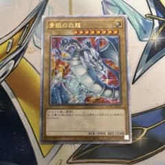 青眼の白龍 絵違い アジア 25thシークレット QCシク クオシク QCAC