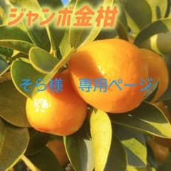 そら様　専用ページです　二点購入の為のサムネイル