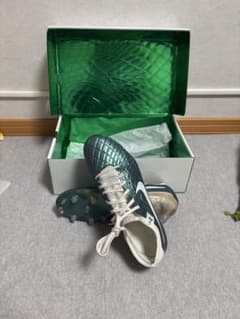 ティエンポレジェンド10 エリート fg 25.5