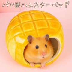 【箱付き】ゴールデン ハムスター キンクマ ハウス 陶器 パン メロンパンのサムネイル