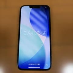 Apple iPhone 13 본체 미드나이트
