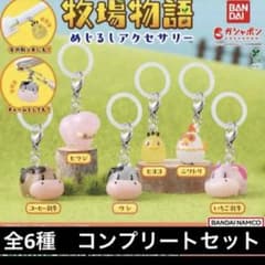 牧場物語 めじるしアクセサリー　コンプリート