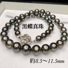 黒蝶真珠 パール ネックレス 約8.5〜11.5mm 本真珠 クロチョウ SV 