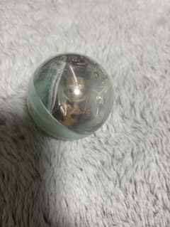 東京ディズニーリゾート カプセル