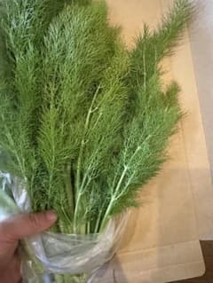 無農薬自家用のおすそ分け フェンネル(苘香）400g＋αのサムネイル