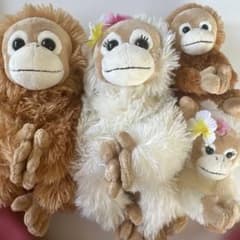 BABY COCO & NATSU ぬいぐるみのサムネイル