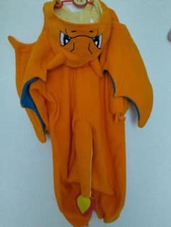 リザードン　ポケモン　着ぐるみのサムネイル