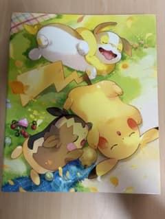 ポケモンカード バインダーとカード多数のサムネイル