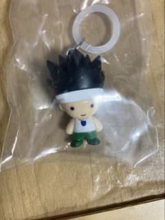 HUNTERXHUNTER 헌터 헌터 메지루시 액세서리 GI편