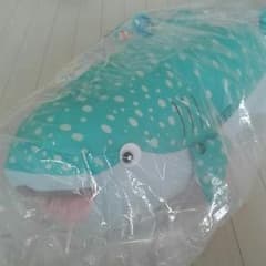 ディスティニー 大きなぬいぐるみのサムネイル