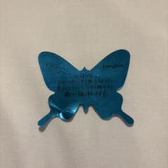 INI 허풍범 1 나비 낙하물 돔 투어 5TH ANNIV. 도쿄돔