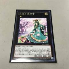 森羅の姫芽宮のサムネイル