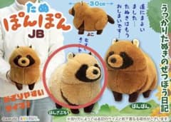 AMUSE たぬぽんぽん ぬいぐるみ　ぽんざぶろうのサムネイル