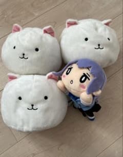 주문은 토끼입니까?